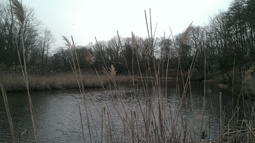 runchathunt_spacreek1