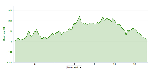 baltimore half elevation