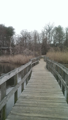 runchathunt_bridge1